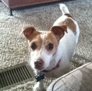 Meet your Posher, Kyla